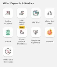 Other payment and service